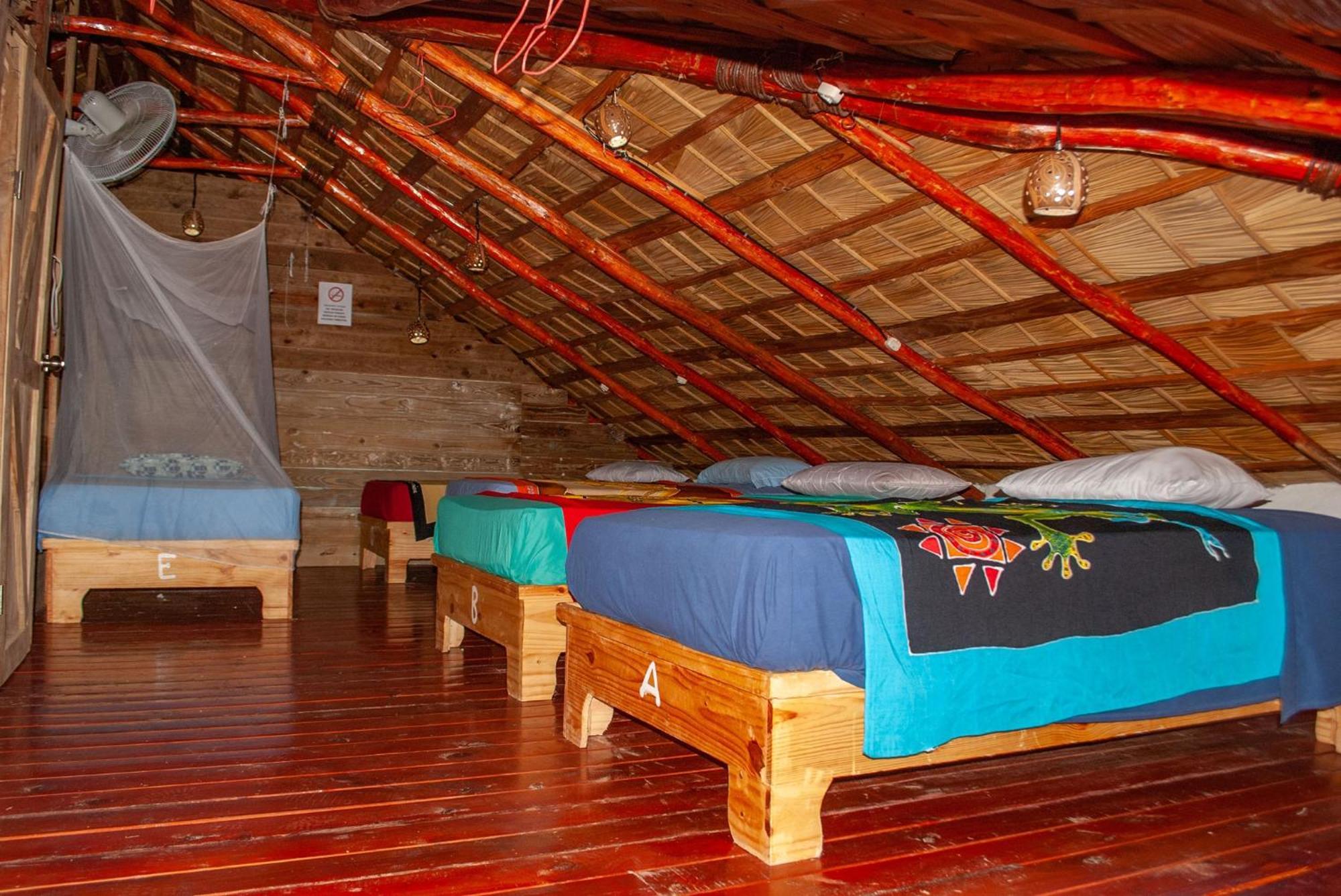 Hostel La Ballena Backpacker Лас-Ґалерас Екстер'єр фото